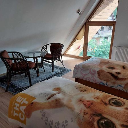 Apartamenty Cede Закопане Экстерьер фото