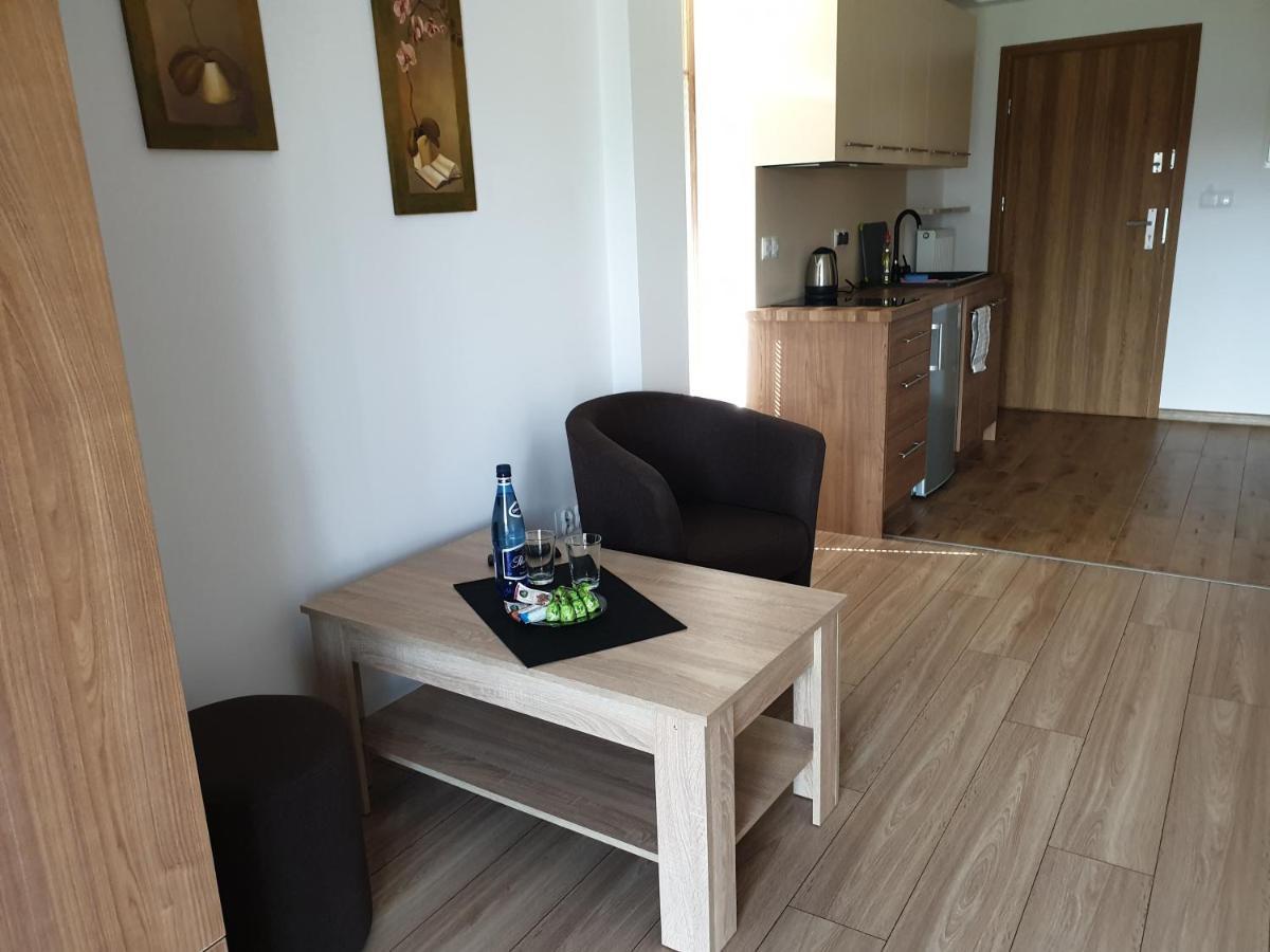 Apartamenty Cede Закопане Экстерьер фото