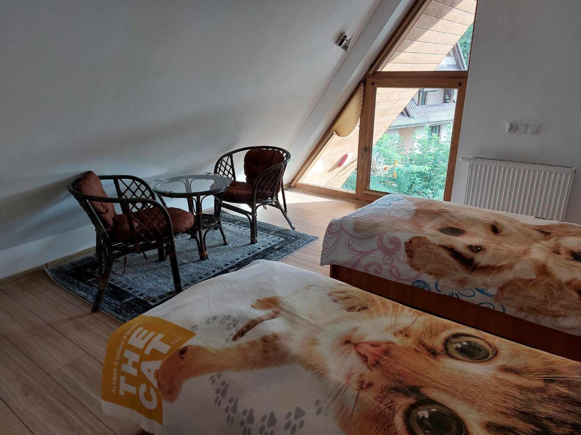 Apartamenty Cede Закопане Экстерьер фото