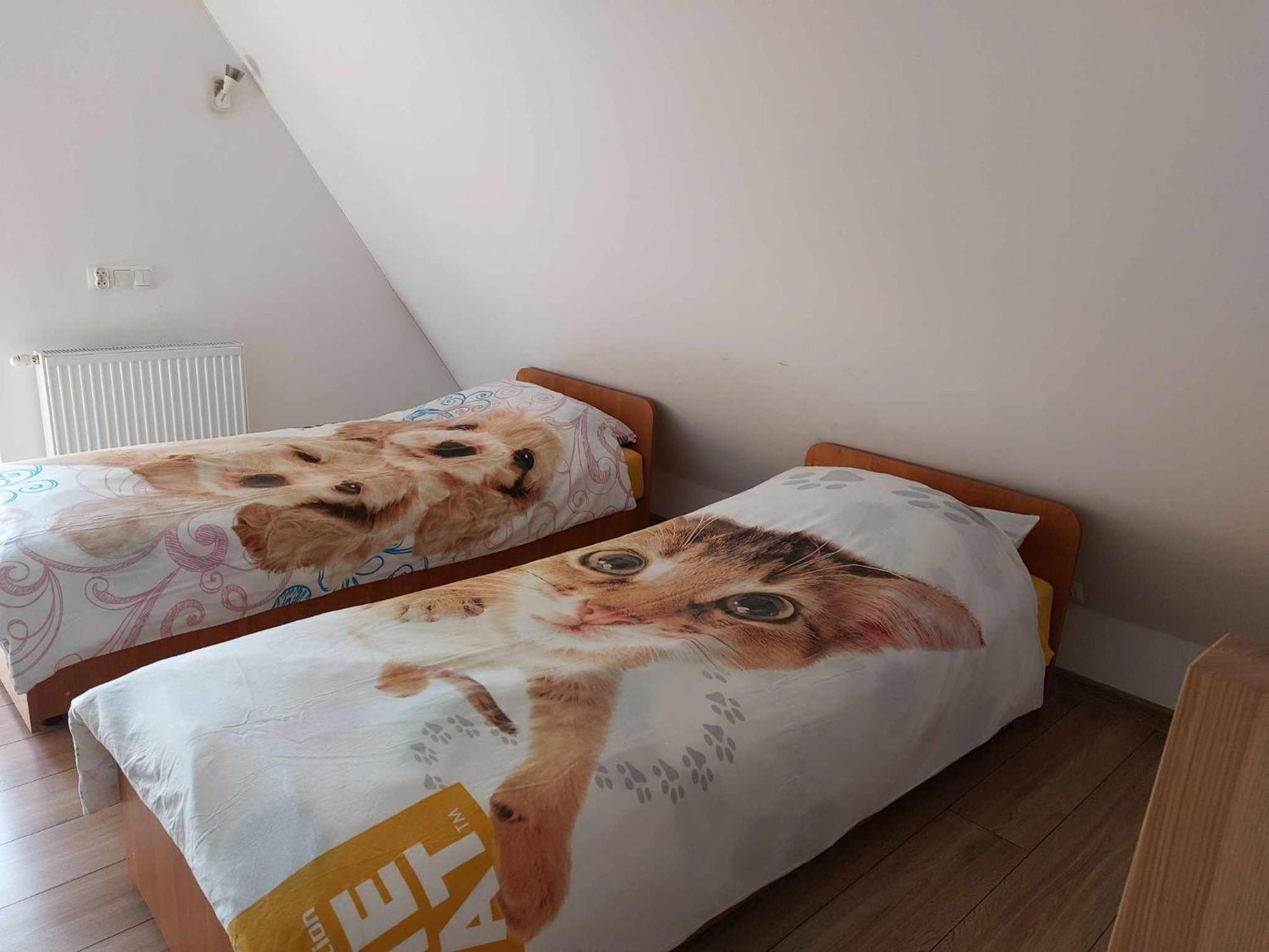 Apartamenty Cede Закопане Экстерьер фото